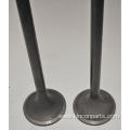 Engine Valves JC190